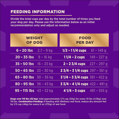 Wellness CORE+ Dry Dog Food with Freeze Dried Pieces, Wholesome Grains, High Protein, Natural, Beef & Barley Recipe, (4-Pound Bag)