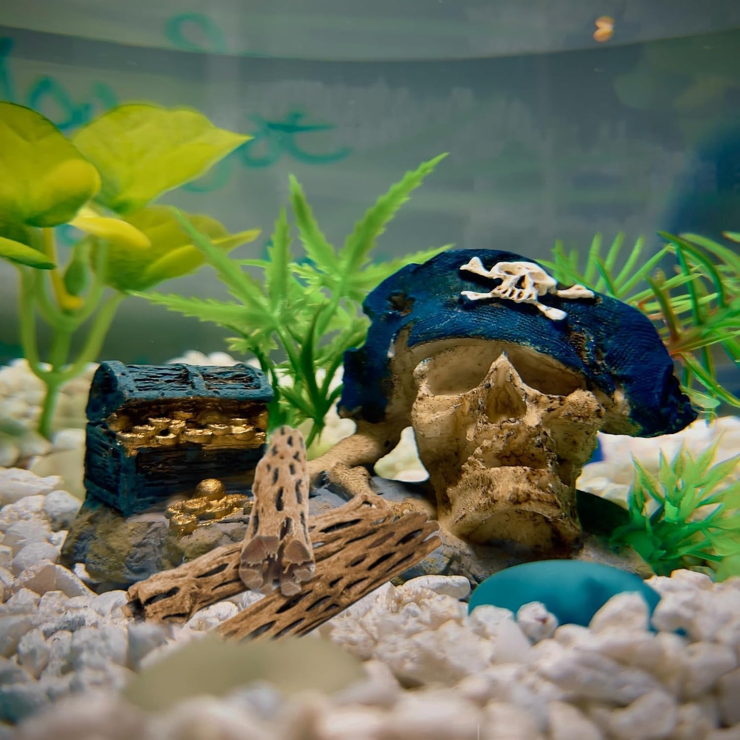 SunGrow Cholla Wood, 6” Climbing Logs, Chew Toy, Aquarium Fish, Snail, and Shrimp Driftwood, Tropical Freshwater Fish Décor, Adds Raw Beauty, 3 Pack