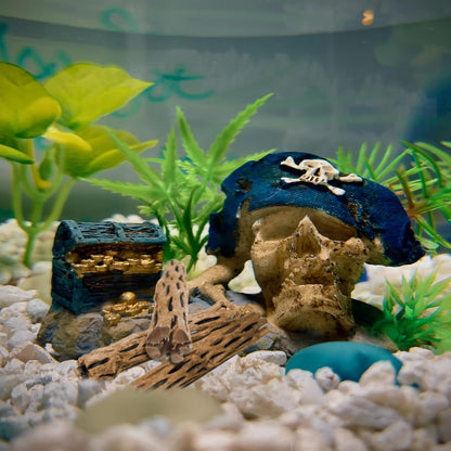 SunGrow Cholla Wood, 6” Climbing Logs, Chew Toy, Aquarium Fish, Snail, and Shrimp Driftwood, Tropical Freshwater Fish Décor, Adds Raw Beauty, 3 Pack