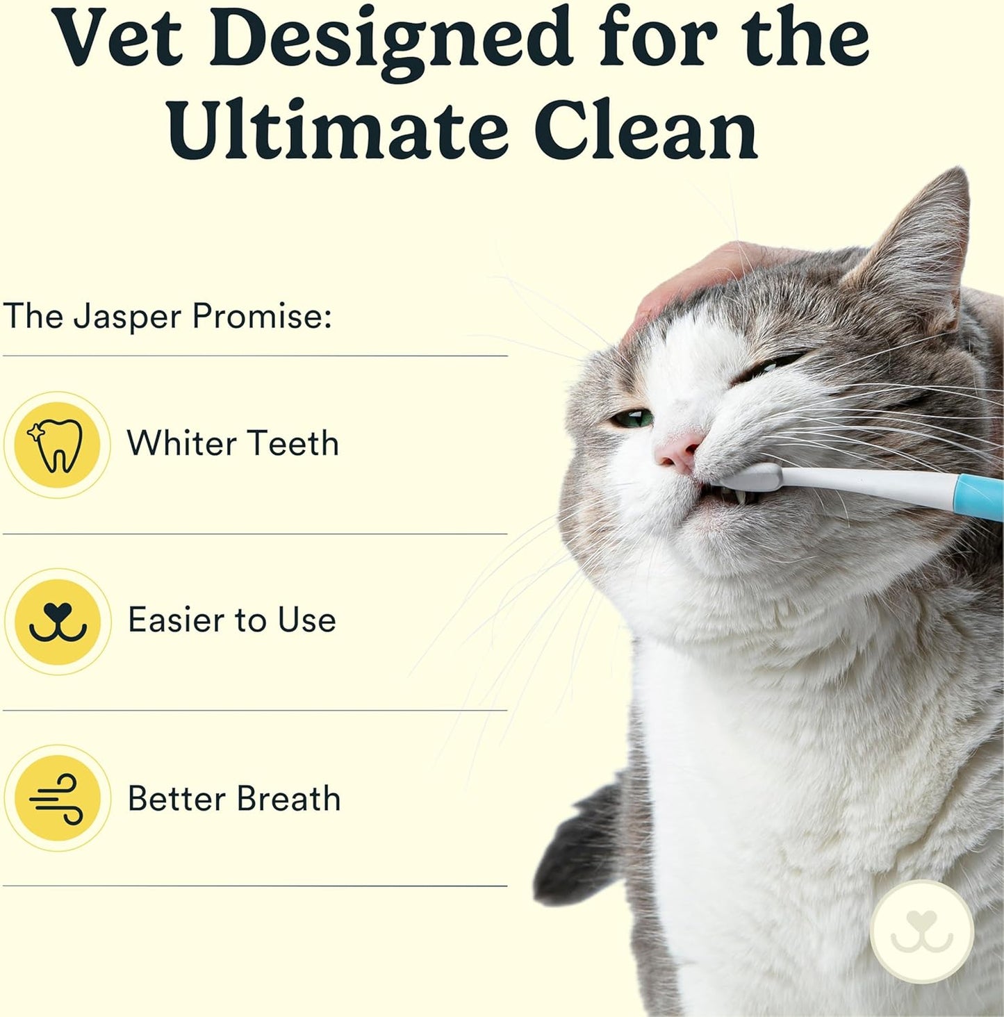 Jasper Microbrush Vet Approved Cat Toothbrush, Soft-Bristled Toothbrush Kit for Felines & Small Dogs, Non-Slip Handle with 2 Replaceable Tooth Brush Heads, Use with Cat Toothpaste
