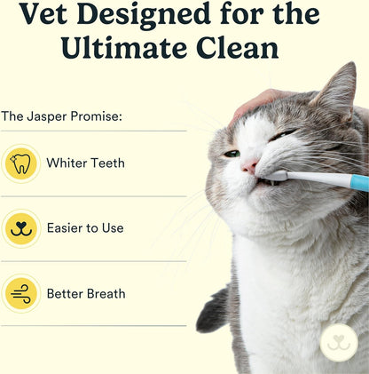 Jasper Microbrush Vet Approved Cat Toothbrush, Soft-Bristled Toothbrush Kit for Felines & Small Dogs, Non-Slip Handle with 2 Replaceable Tooth Brush Heads, Use with Cat Toothpaste