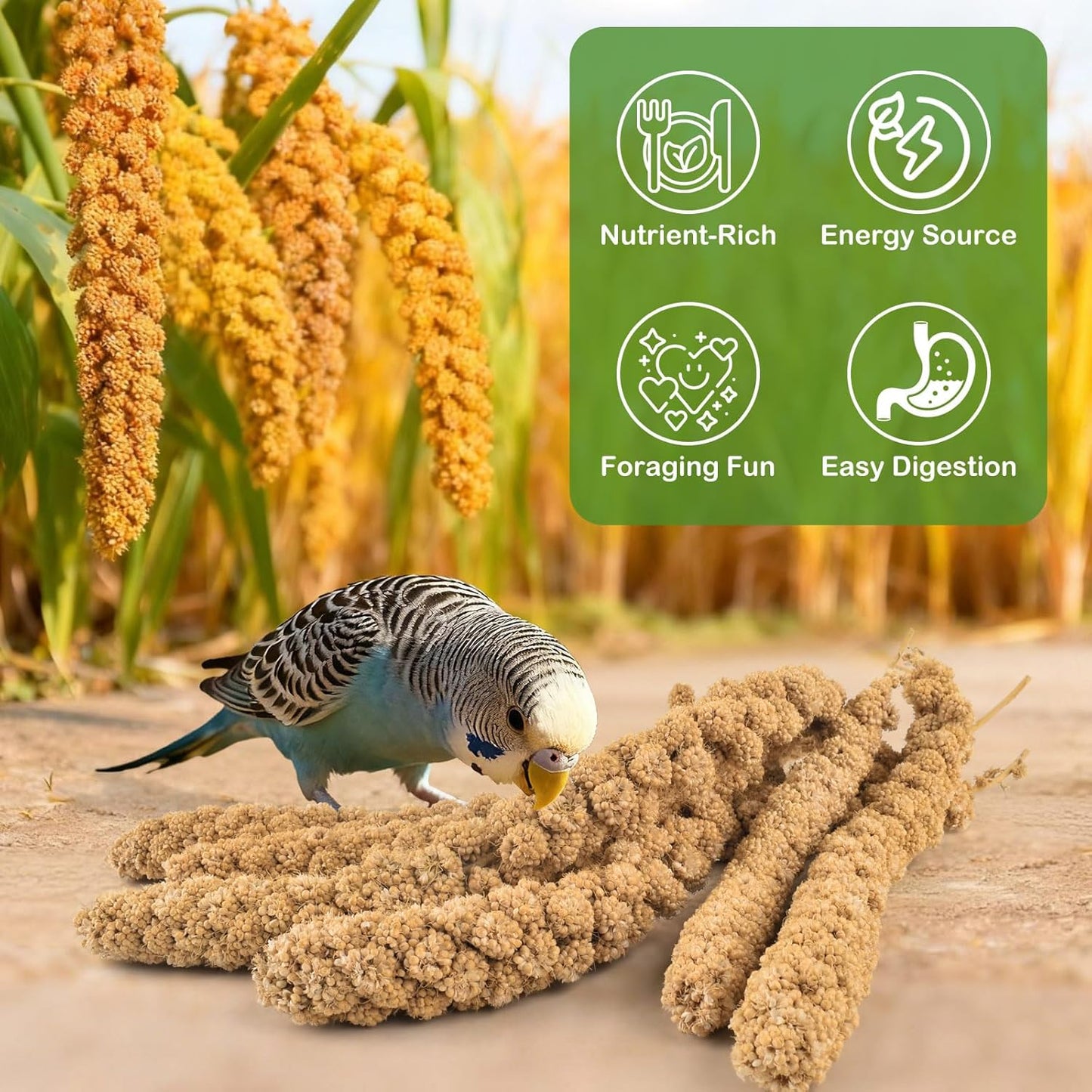 ERKOON 5LB Spray Millet Treat, All Natural Sun-Dried Healthy Treat Parrot Food Bird Snack for Parakeets, Lovebirds, Cockatiels, Finches, Budgies, Canaries Hamster, Bird Food Bulk