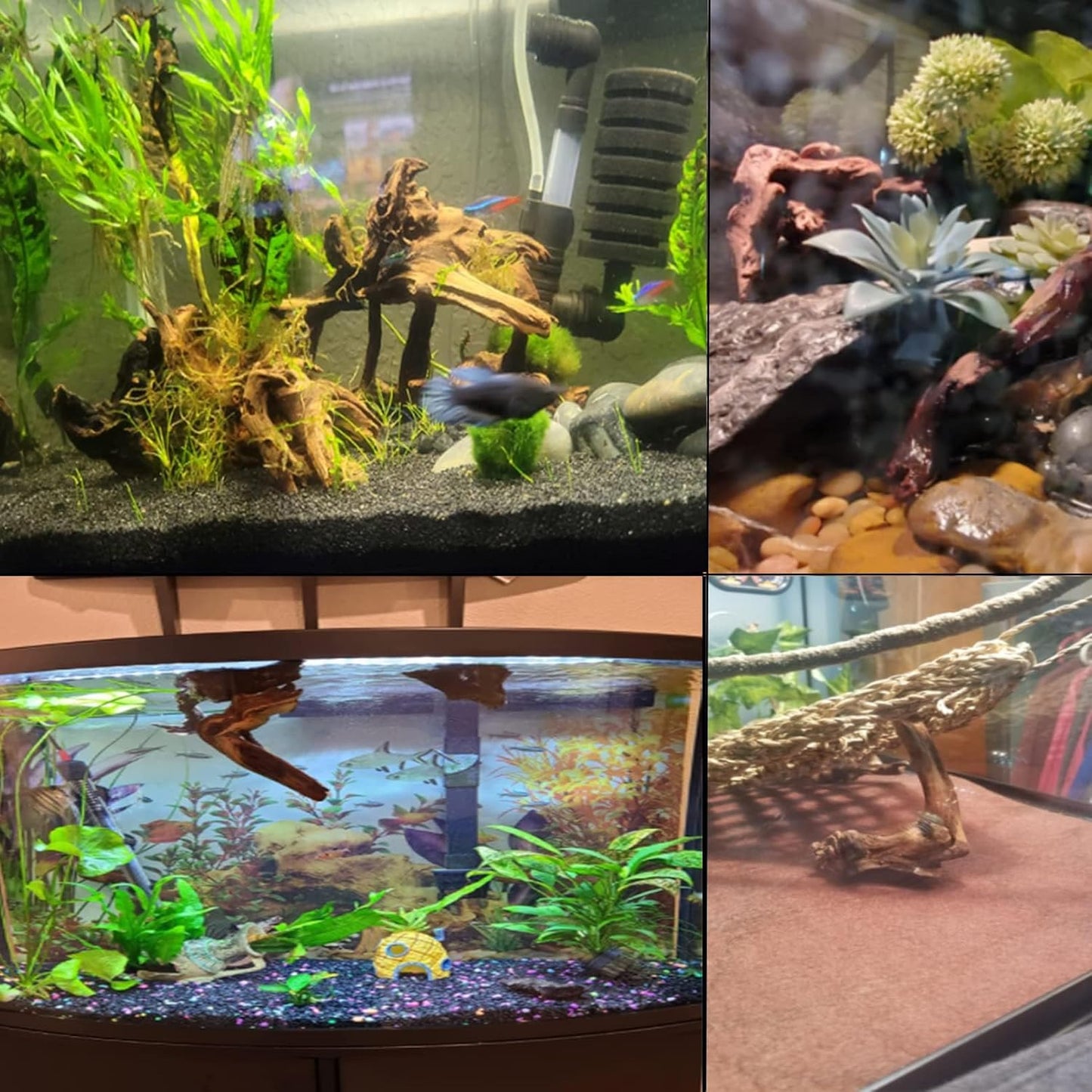 Tfwadmx 5PCS Aquarium Driftwood Branches 4''-7.8'' Reptiles Trunk Natural Wood Fish Tank Decoration Plant Stump Ornament Decor Assorted