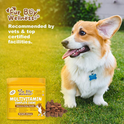 Daily Multivitamin for Dogs – Glucosamine Chondroitin, Probiotics & Omega Fish Oil – Supports Hip & Joint, Skin, Coat, Allergy & Immune Health – Vet Approved Chicken Chews, 90 Count