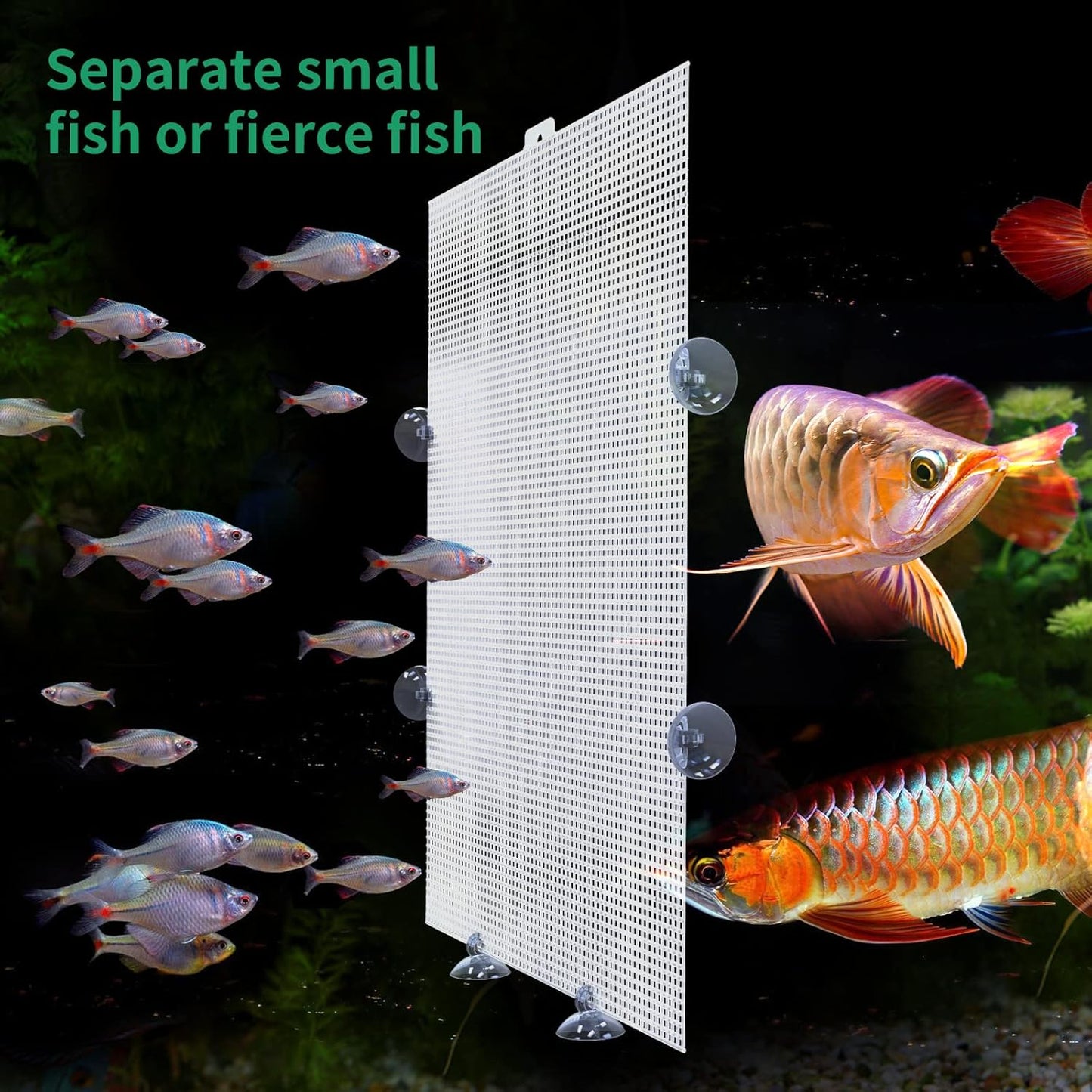 Cuyacili 2 Pack Fish Tank Divider, Plastic Grid Cuttable Grid Plate Fish Separator with 12 Suction Cups DIY Designed Clear Easy to Bent 10 * 13in