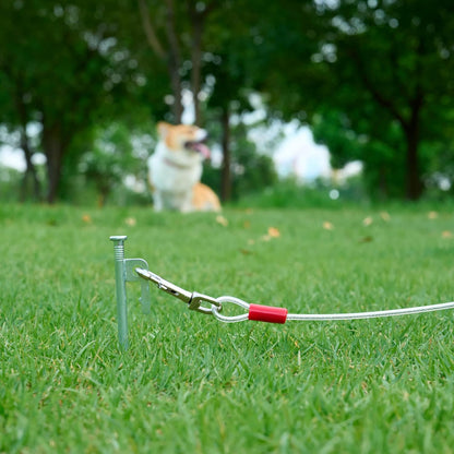 Amazon Basics Tie-Out Cable for Dogs up to 90 lbs, 25 feet, White