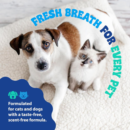 Dental Fresh Water Additive for Dogs and Cats, Clean Teeth and Fresh Breath, Daily Pet Oral Care, Flavorless, 8 fl oz