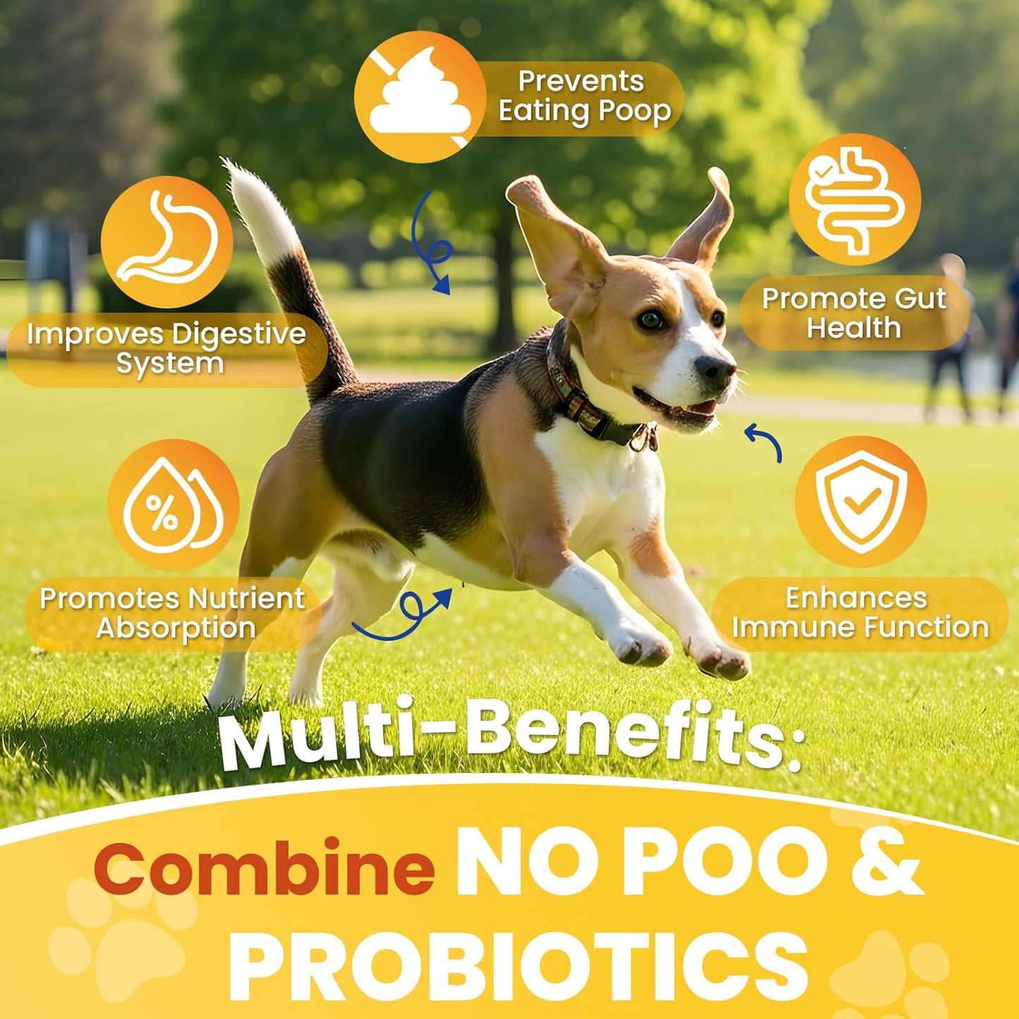 200 Chews No Poo&Probiotic Chew For Dogs-2 In 1 Control Coprophagia&Probiotics Supplement- Natural Soft Treats Deterrent Eat Poop-Digestive Enzymes with Prebiotics Support Gut Health-Chicken Flavor