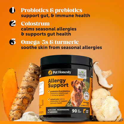 Pet Honesty Dog Allergy & Itch Relief - Advanced Itch Supplement with Probiotics for Dogs - Immune Support & Skin Relief for Seasonal Allergies - Natural Itchy Skin & Paw Relief - (Salmon, 90 Ct)