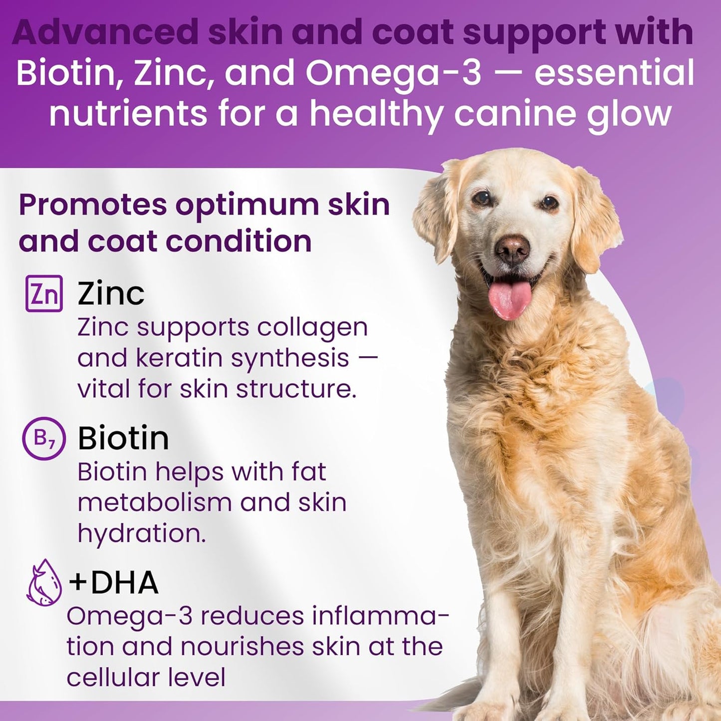 Bio PetActive Dog Zinc and Biotin Supplement Enriched with Omega 3 & Fish Oil | Support Healthy Skin, Coat, Hair and Nail | 500mg Soft Chews Vitamins & Mineral Complex | 75 Tablets