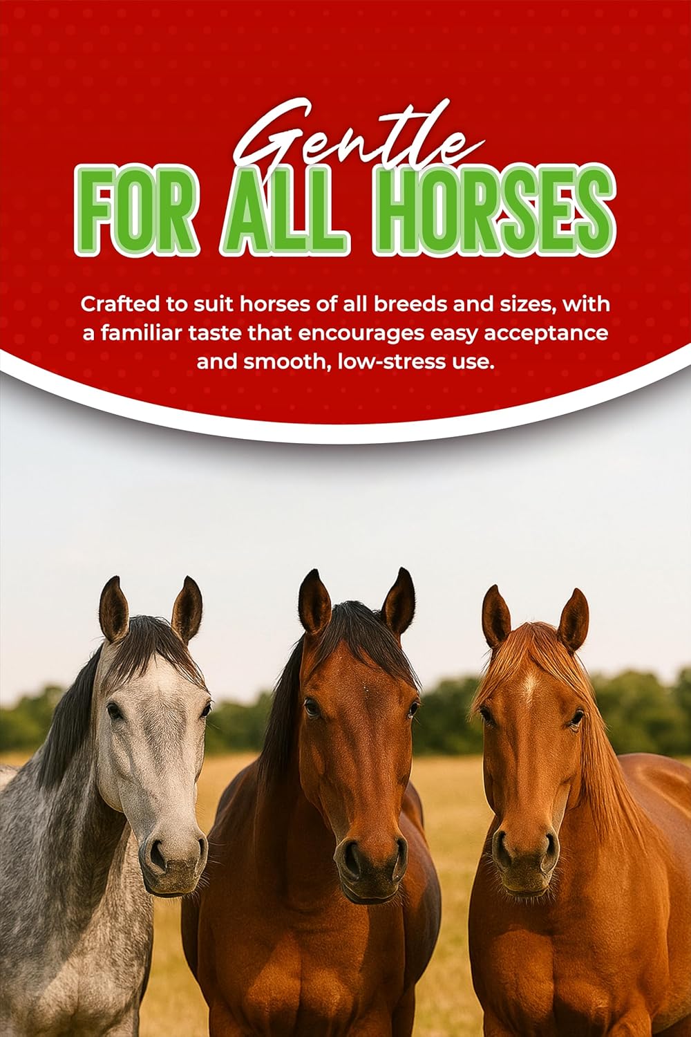 Ivermectin Horse Paste 1.87% – Apple Flavored – 6.08g Tube – for Horses Up to 1250 lb