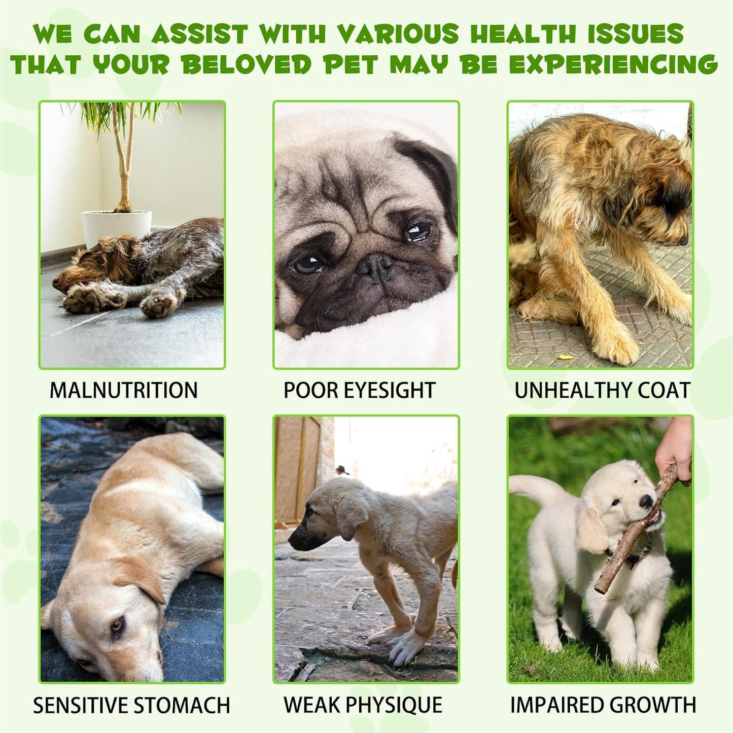 Liquid Dog Probiotic,Natural 3 in 1 Probiotic for Dogs, Dog Digestive Support,Gut Health Support,Help with Diarrhea,Gas and Bloating,Dog Herbal Supplements- 60ml