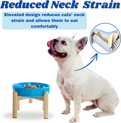 Ceramic Slow Feeder Dog Bowls, Raised, 3 Cups Elevated Slow Feeder with Wooden Stand for Medium Large Breed, Puzzle Dog Food Bowl (Blue)