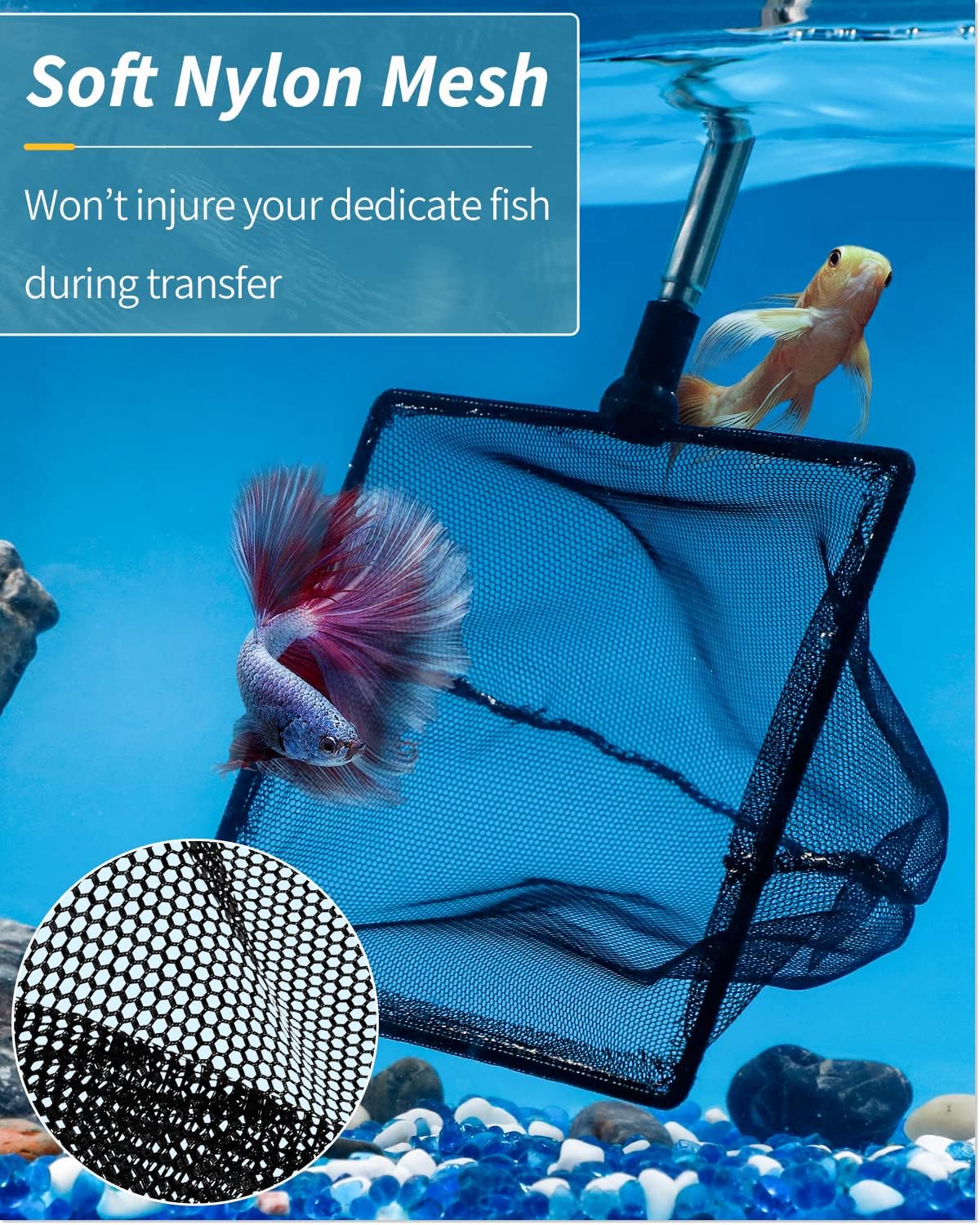 Pawfly Aquarium Fish Net with Extendable 9-24 Inch Long Handle for Betta Fish Tank Small Koi Pond and Pool