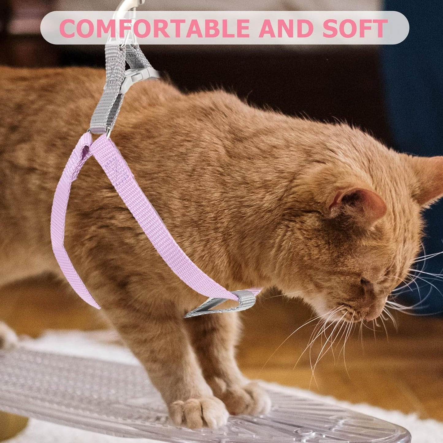 Escape Proof Small Cat Harness and Leash Set, Adjustable Soft Nylon Kitten Vest for Outdoor Walking and Training