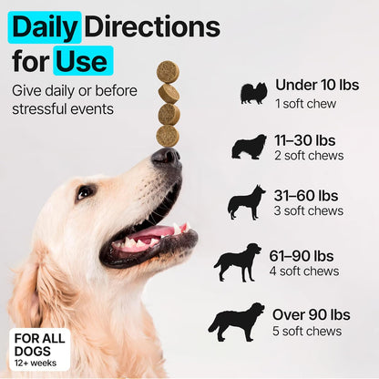 Dog Multivitamin Chewable with Glucosamine, Chondroitin & Probiotics – Dog Vitamins And Supplements – Skin, Hip & Joint, Immune - Puppy, Senior Dogs Supplements, 1 pack 170 Count, Made in USA