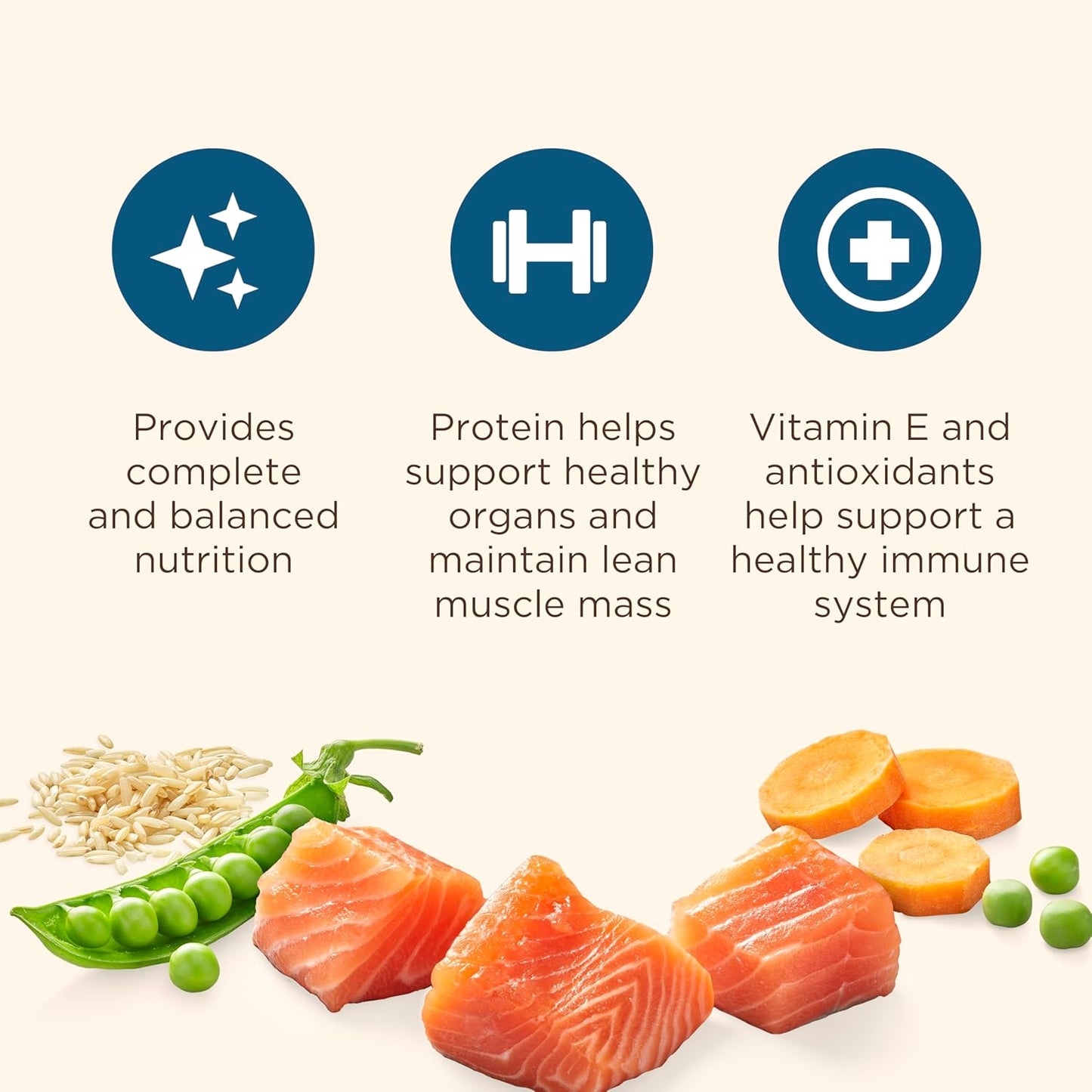 Nutrish Dry Cat Food, Real Salmon & Brown Rice Recipe Whole Health Blend, 3 lb. Bag (Rachael Ray)