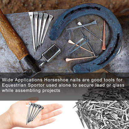 250pcs E5 Horseshoe Nails 2 Inch Stainless Steel Horseshoe Nails Nails Horse Hoof Nails Horseshoe Tools for Stained Glass,Horse Training Equestrian Sports