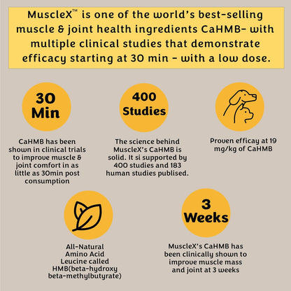 MuscleX™ Canine Muscle Formula Cats & Small Dogs with 300mg CaHMB & Vitamin D3 - Natural Muscl Building Formula-Helps Reduce Muscle Loss Due to Normal Aging & Improves Recovery from Injury(270 Caps)