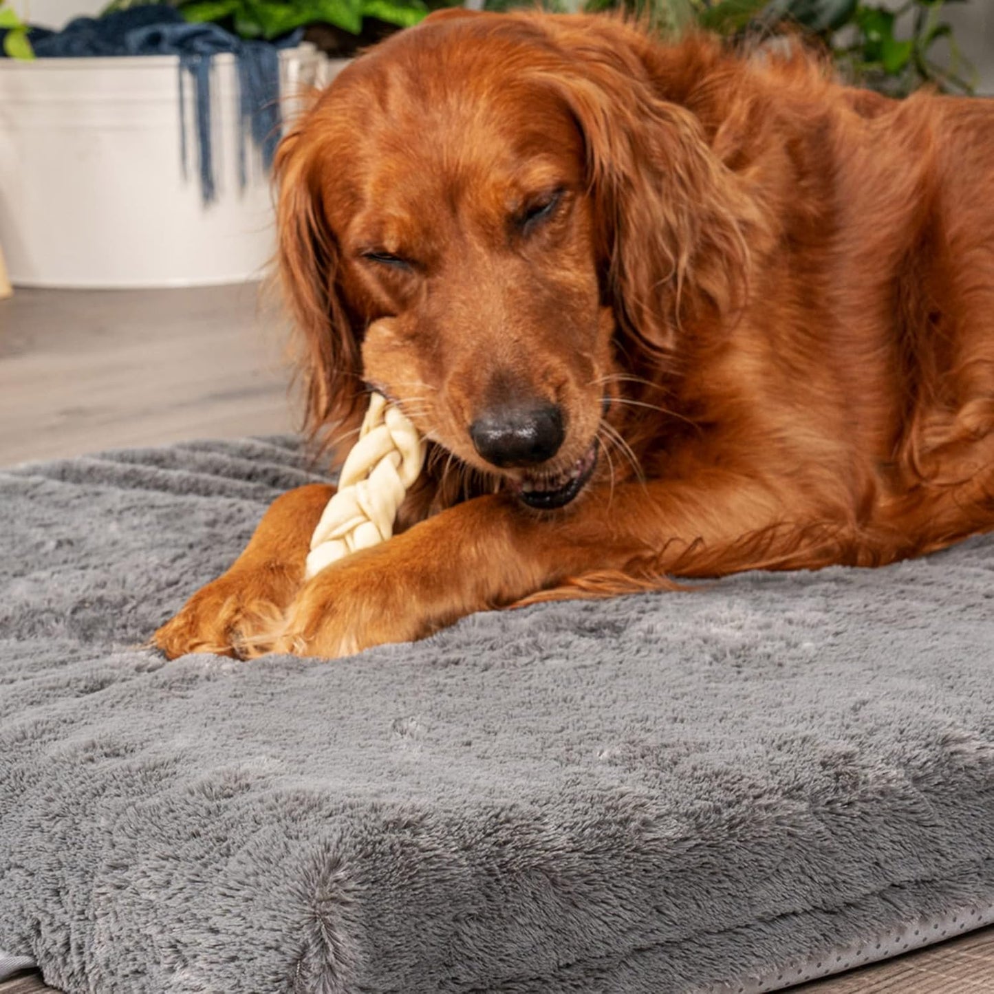 Pet Factory CareChewz Collagen 6-7" Skinny Braided Sticks Dog Chew Treats - Natural Flavor, 15 Count/1 Pack