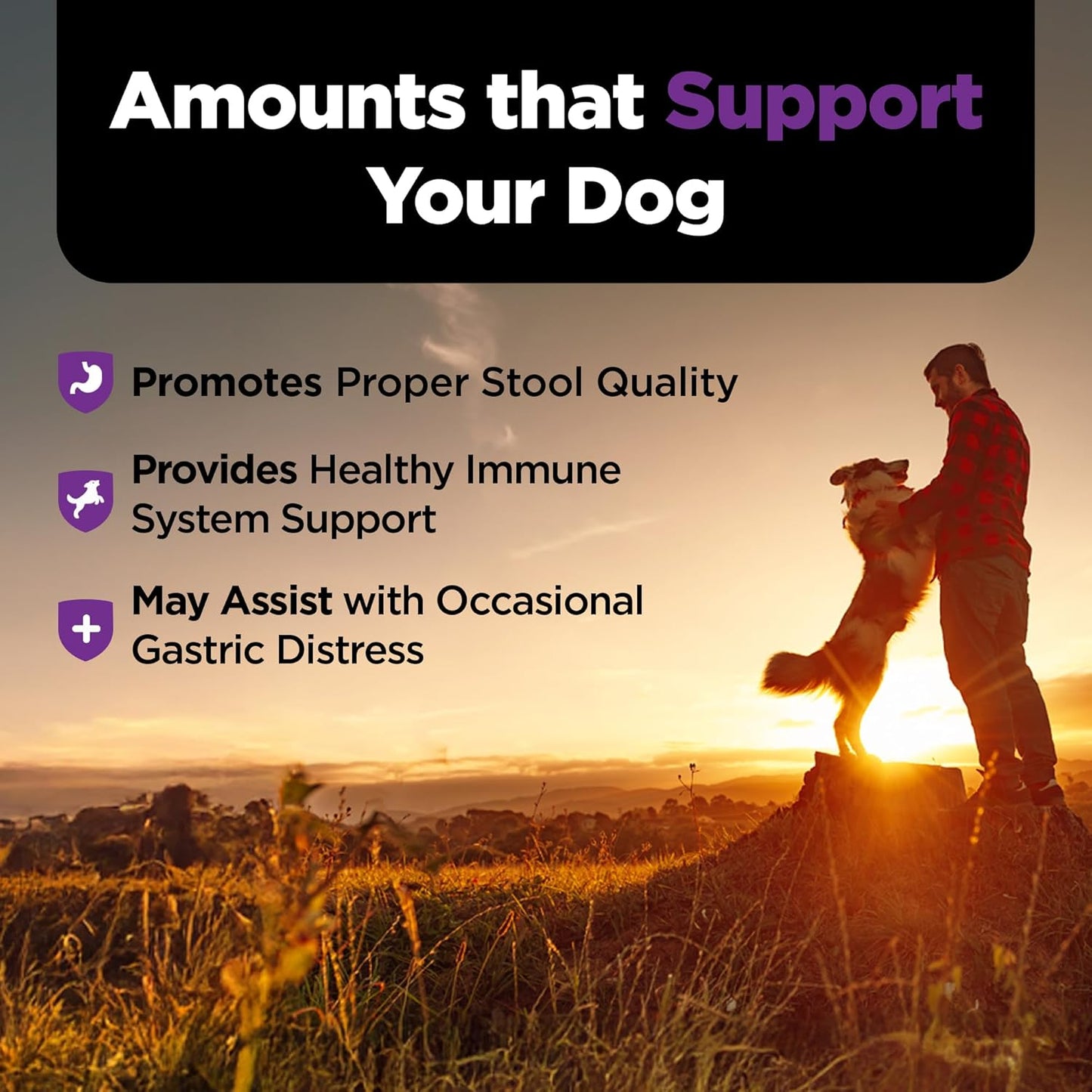 Nutri-Vet Pre & Probiotics for Dogs, Digestive Support, Upset Stomach, Puppy Probiotic, Pet Vitamins and Supplements, Dog Probiotics, Liver & Cheese Flavor, 120 Soft Chews