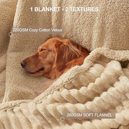 Waterproof Dog Blanket for Large Dogs, Washable Soft Puppy Cat Blanket Flannel Cotton Velour for Sofa Couch Protector, Comfort & Security Reversible Bed Protection for Pet, 60"X80", Khaki