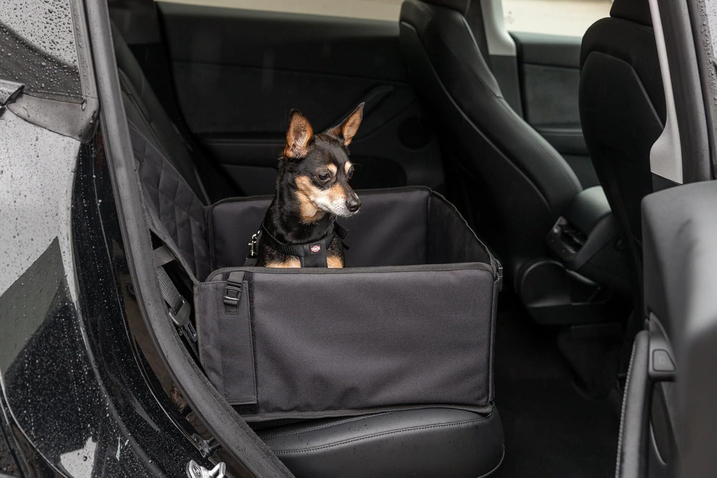 Trixie Lite Dog Car Seat 17.7 × 9.4 × 17.7 in – Foldable Booster with Safety Tether, Side Pocket & Fold-Down Panels – Travel Bed for Small Dogs with Water-Resistant Fabric