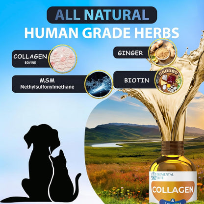 Liquid Collagen for Dogs and Cats, Skin & Coat Supplement, Itch Relief, Joint & Mobility Support, Enriched with Grass-Fed Collagen, MSM, Biotin & Ginger, Daily All-in-One Pet Health Formula