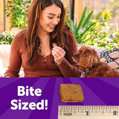 Wellness Puppy Treats, Natural, Training Treat, Grain Free, Soft Lamb & Salmon (8 Ounce Bag)