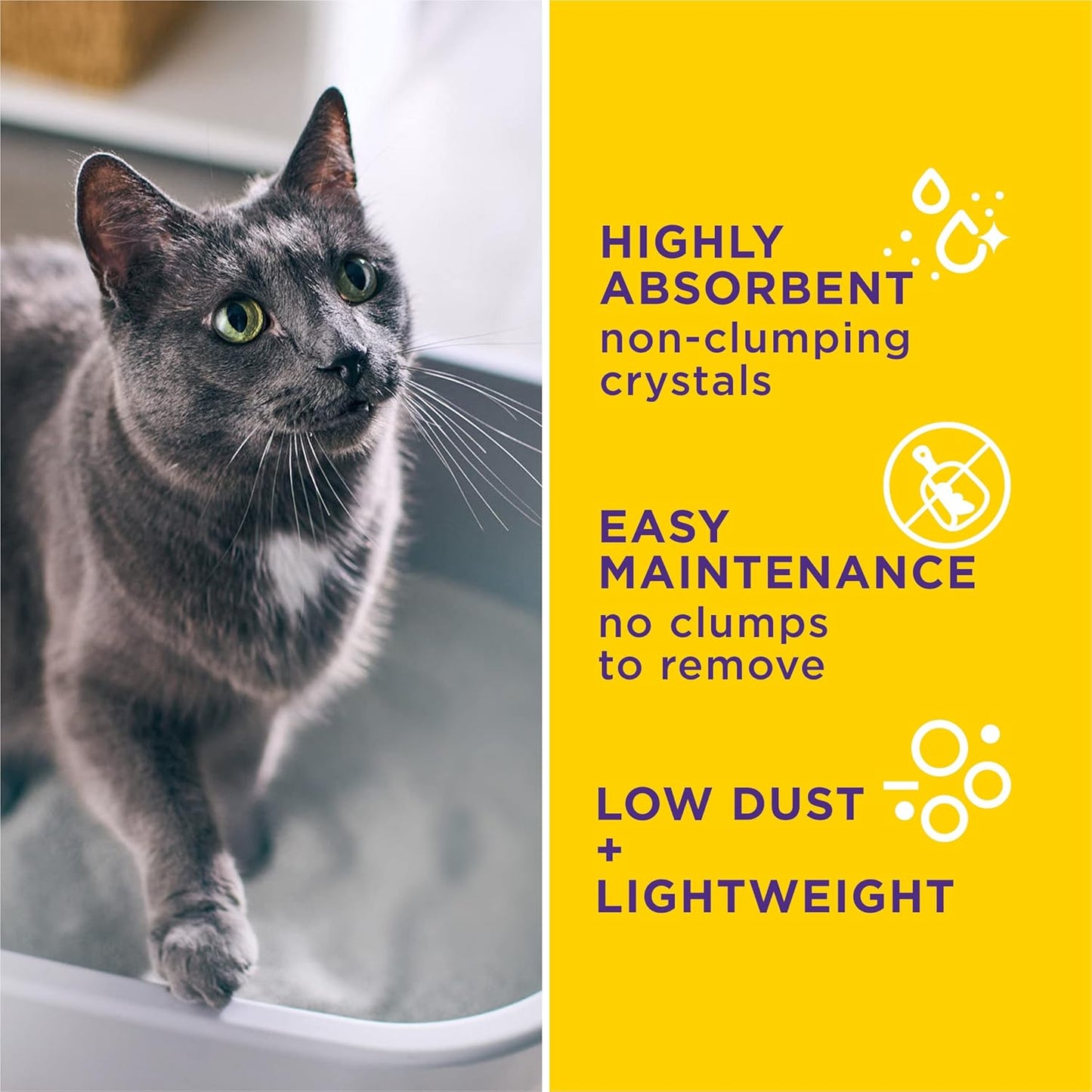 Purina Tidy Cats Tidy Care Alert Cat Health Monitoring Non Clumping Cat Litter with Silica Crystals - 8 Pound (Pack of 1)