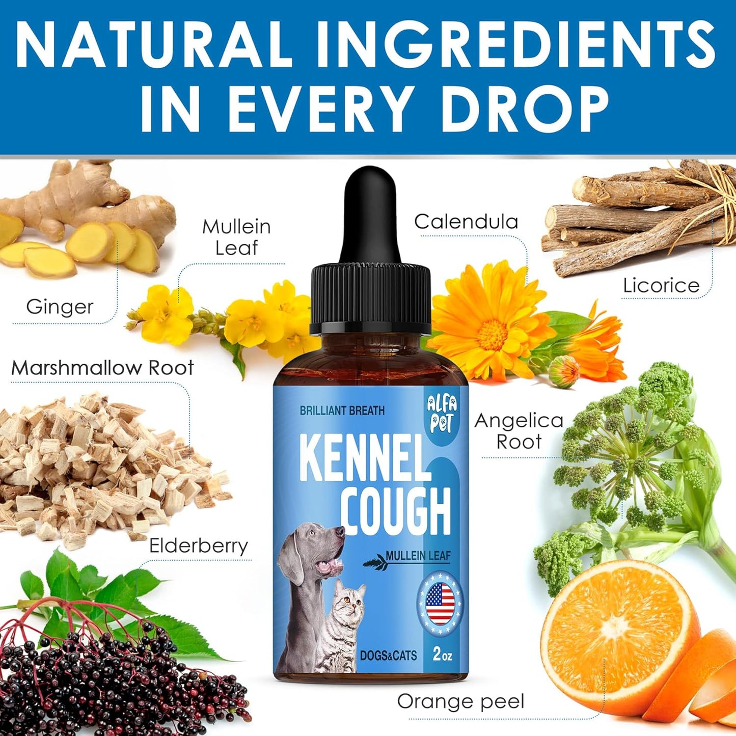 Dog Cough Treatment Liquid • Kennel Cough Medicine for Dogs & Cats • For Breathing During All Life Cycle • Marshmallow Root + Mullein Leaf in the Composition • Natural Supplement for All Breeds • 2 Oz