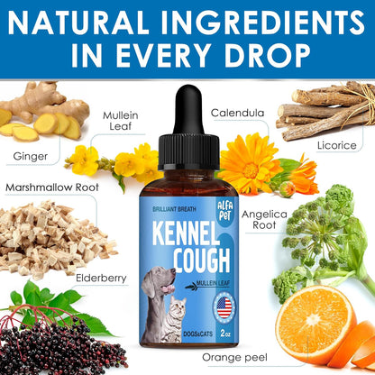 Dog Cough Treatment Liquid • Kennel Cough Medicine for Dogs & Cats • For Breathing During All Life Cycle • Marshmallow Root + Mullein Leaf in the Composition • Natural Supplement for All Breeds • 2 Oz