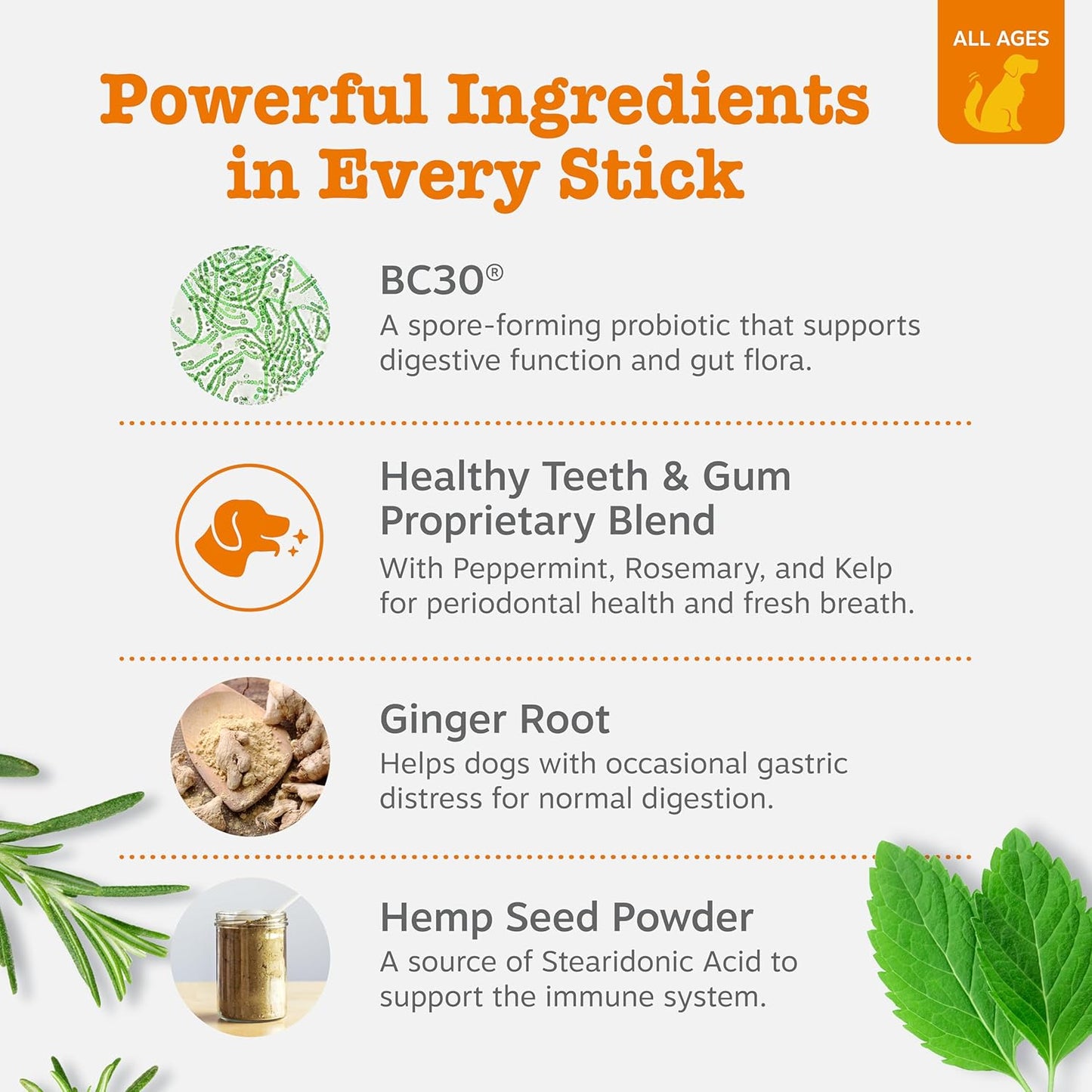 Zesty Paws OraStix for Dogs - Probiotic Sticks with Hemp Seed Curcumin Ginger Root Taurine - Supports Gut Function Flora Immune System Proprietary Healthy Teeth Gum Blend - 12oz