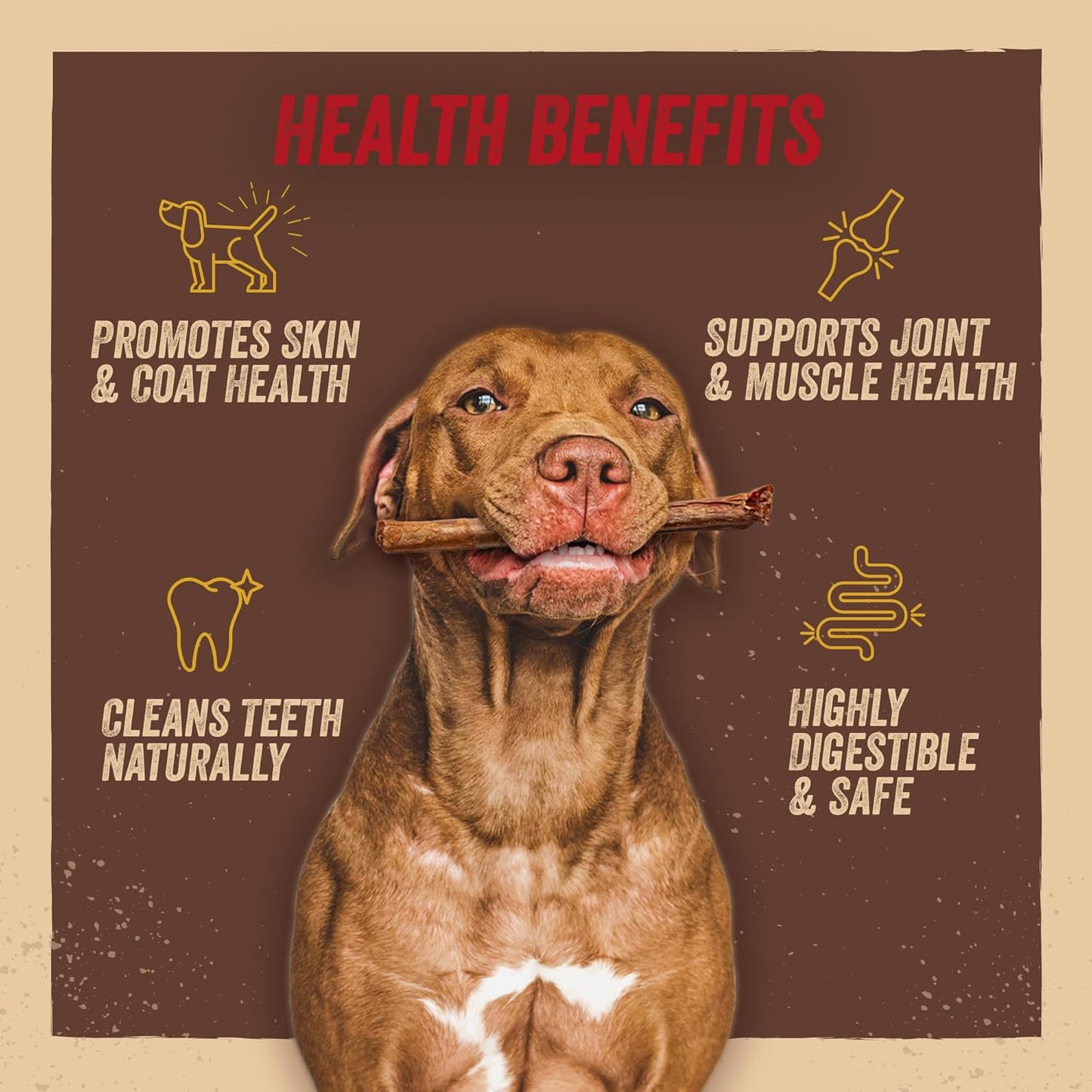 Jack&Pup 6" X-treme Bully Sticks for Large Dogs | Collagen + Pizzle Sticks for Dogs | 3X Longer Lasting for Aggressive Chewers (10 Count)