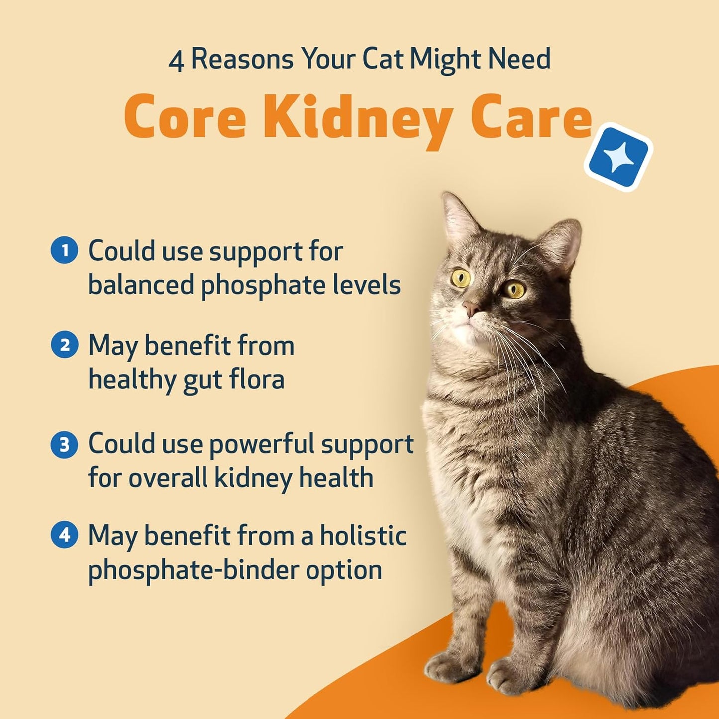 Pet Wellbeing Core Kidney Care for Cats - Daily Phosphate Binder, Supports Healthy Kidney Function with FOS, Chitosan, Probiotics - Veterinarian-Formulated 5.08 oz (144 g) Powder