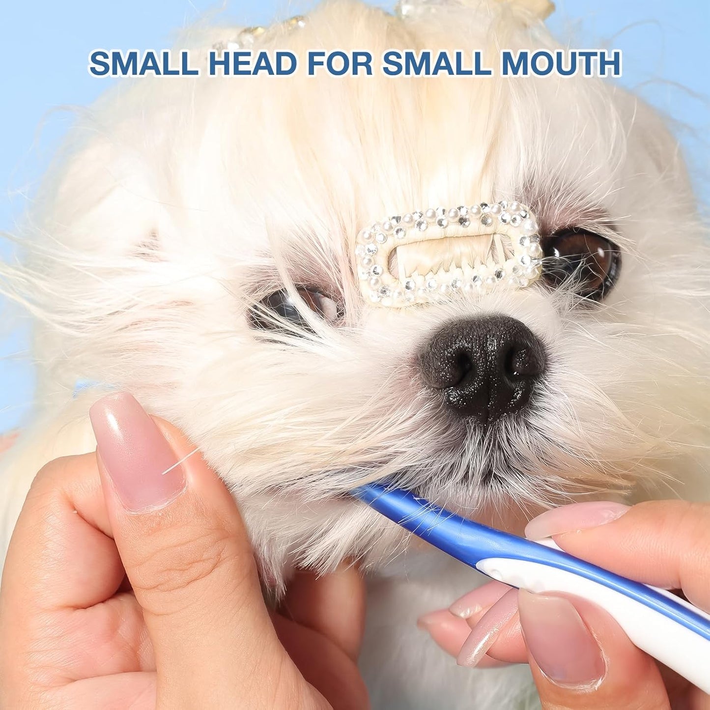 Ultra Soft Nano Dog Toothbrush Kit for Small Breed, Silicone 360 Pet Tooth Brushes for Dogs Cat,Canine Dental Care Set of 3 Different Shapes