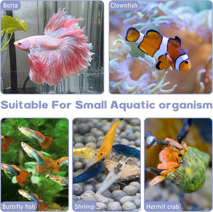 Hamiledyi Natural Driftwood for Aquarium Decor 12 PCS Fish Tank Wood with Small Holey Aquarium Wood Aquascaping for Shrimp Betta Hermit Crab and Butterfly Fish