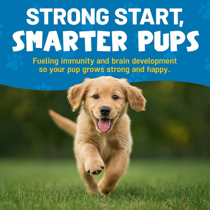 Guardian’s Choice VitaPup Puppy Vitamins Chews, Dog Vitamins for Growth, Digestion, Coat, Brain & Immune Support, Daily Multivitamin for Dogs with Omega 3, Biotin, & Calcium, 90 Tasty Soft Chews