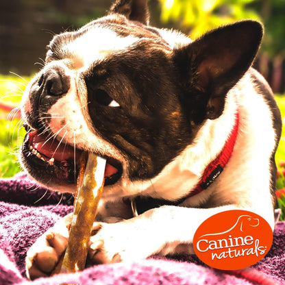 Canine Naturals Peanut Butter Chew - Rawhide Free and Dog Treats - Made from Real Peanut Butter - All-Natural and Easily Digestible - 40 Pack of 5 Inch Stick Chews
