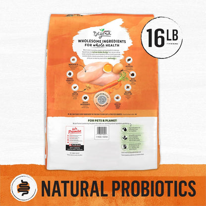 Purina Beyond Grain Free White Meat Chicken and Egg Recipe Natural Cat Food High Protein Cat Food Dry Formula - 16 Lb. Bag