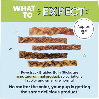 Pawstruck Natural 9" Braided Bully Sticks for Dogs - Long Lasting Rawhide Free Low Odor Single Ingredient Chew Treat for Aggressive Chewers - 1lb Bag