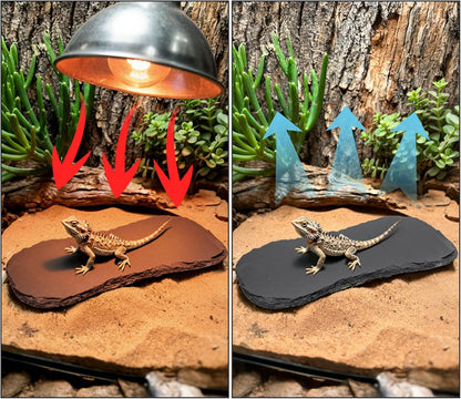 3 Pack Reptile Basking Platform, 11''x5.5'' Tortoise Rock Plates, Bearded Dragon Feeding Slate, Lizard Bathing Resting Rock Slab for Gecko Chameleon Snake Frog Habitat Accessories