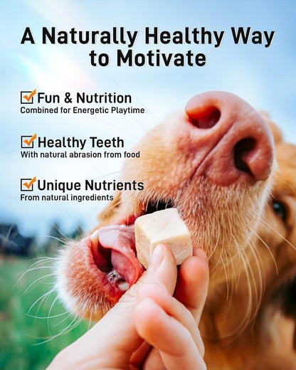 Freeze Dried Chicken Cats & Dogs Treats, 17.63 oz(1.1LB), High Protein Single Ingredient - No Additives | Grain Free | Training & Nutrition Supplements, Sealed Box