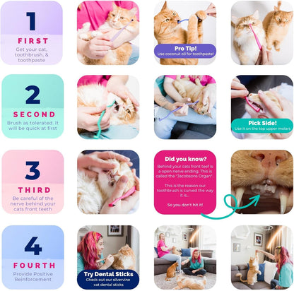 RYERCAT Dual Sided Cat Toothbrush - Kitten Toothbrush with Micro Head (Very Small) for Custom fit - Cat Dental Care Supplies - Pet Toothbrush for Cats (Smudgelord)