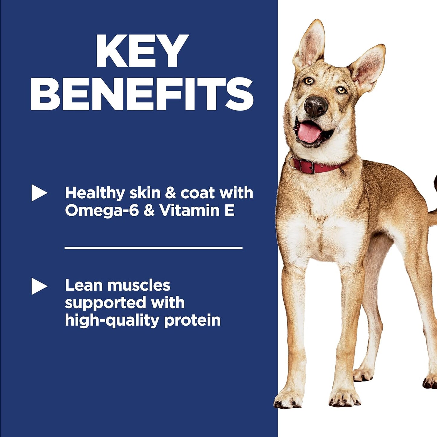 Hill's Science Diet Adult 1-6, Adult 1-6 Premium Nutrition, Dry Dog Food, Chicken & Barley, 35 lb Bag