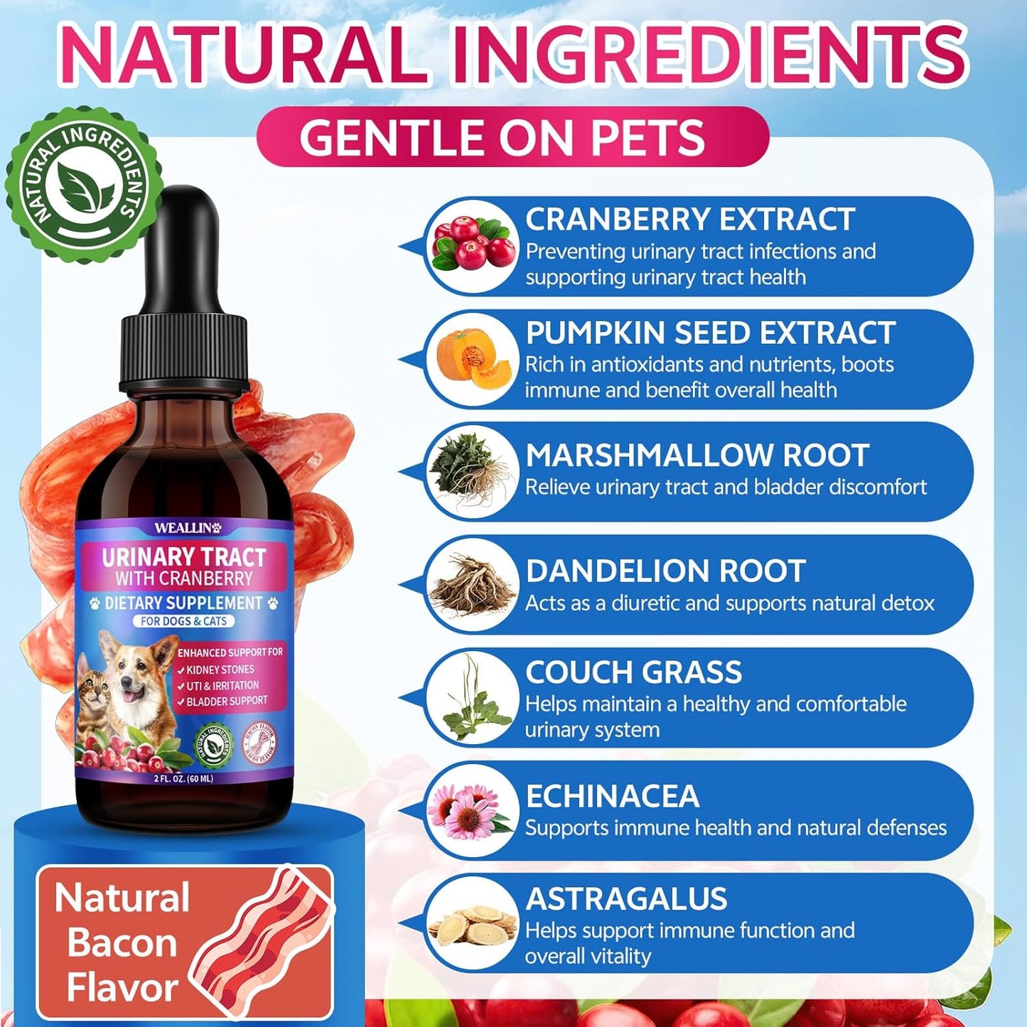 Flea and Tick Prevention Support Drop + Natural Urinary Tract Infection Treatment for Dogs & Cats | Pets Oral Natural Supplement Pet Care Support Drops for All Breeds and Ages