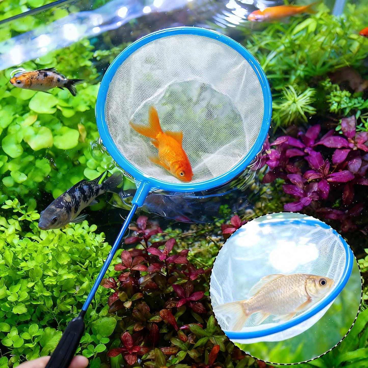 10 PCS Aquarium Fish Net, Fish Net for Fishs Tank High Density Mesh Nylon Cleaner Nets Aquarium Nets Fine Mesh, Round Brine Shrimp Net-Fish Tank Filter for All Fishs