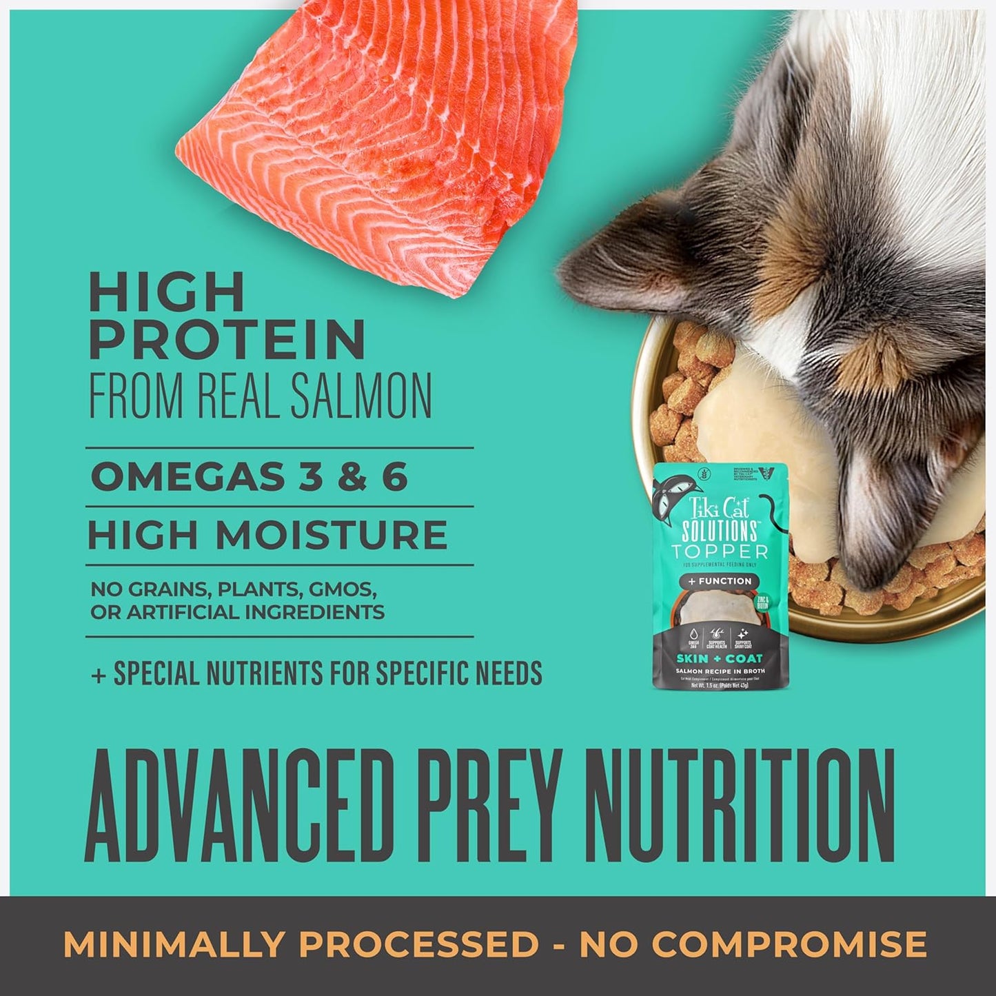 Tiki Cat Solutions Topper, Skin + Coat, Salmon Recipe in Broth, 1.5 oz. Pouch (12 Count)