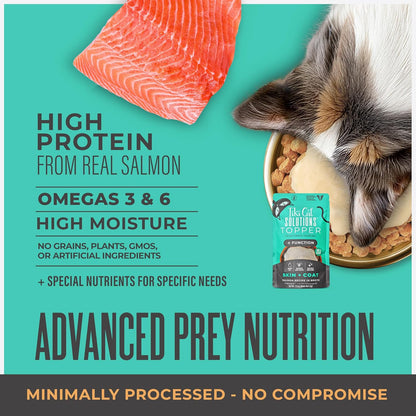 Tiki Cat Solutions Topper, Skin + Coat, Salmon Recipe in Broth, 1.5 oz. Pouch (12 Count)