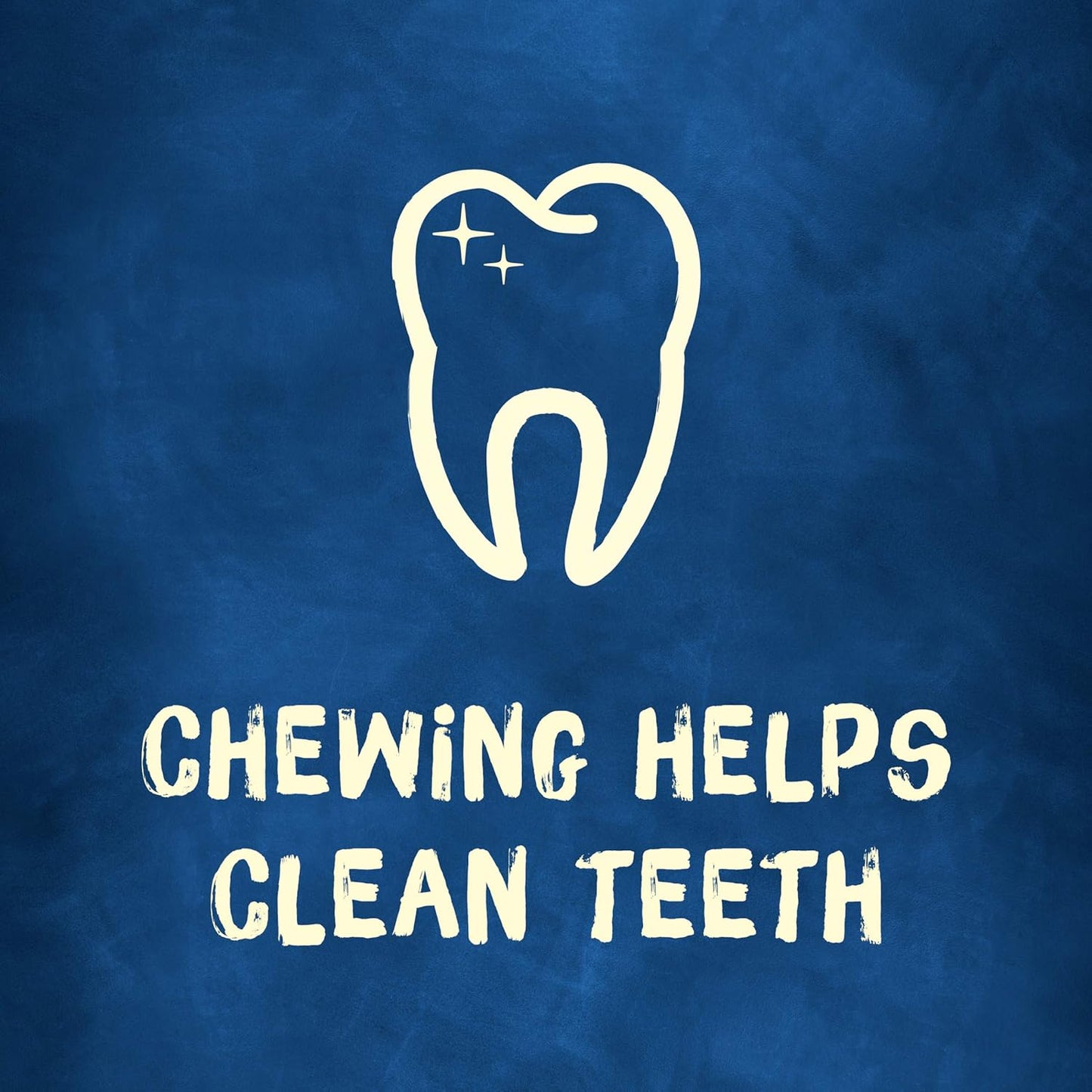 Purina Busy Bone Adult Dog Chew Bone Treats, Original - 10 ct. Pouch